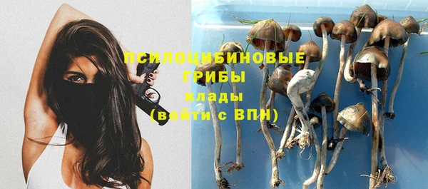 гидропоника Абинск