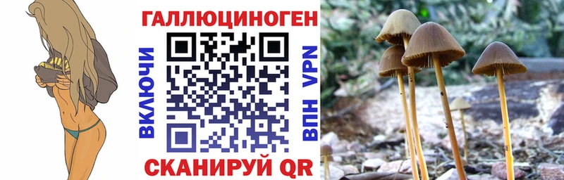 хочу наркоту omg Галлюциногенные грибы Magic Shrooms Нижний Тагил