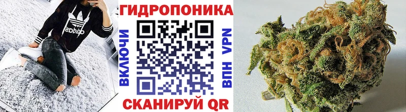 нарко площадка официальный сайт как найти Нижний Тагил Каннабис ГИДРОПОН